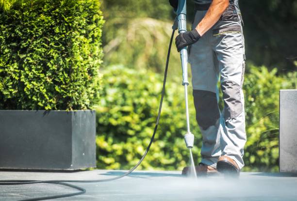 Best Driveway Cleaning and Restoration in Brownsboro, TX