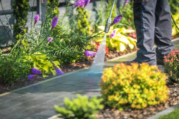 Best Concrete Surface Cleaning in Brownsboro, TX