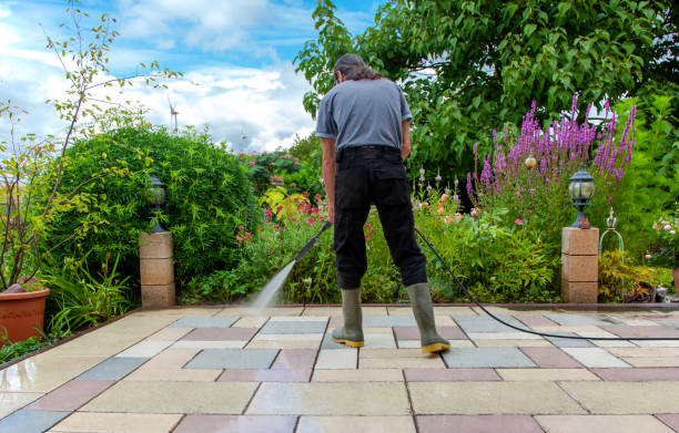 Best Commercial Pressure Washing in Brownsboro, TX